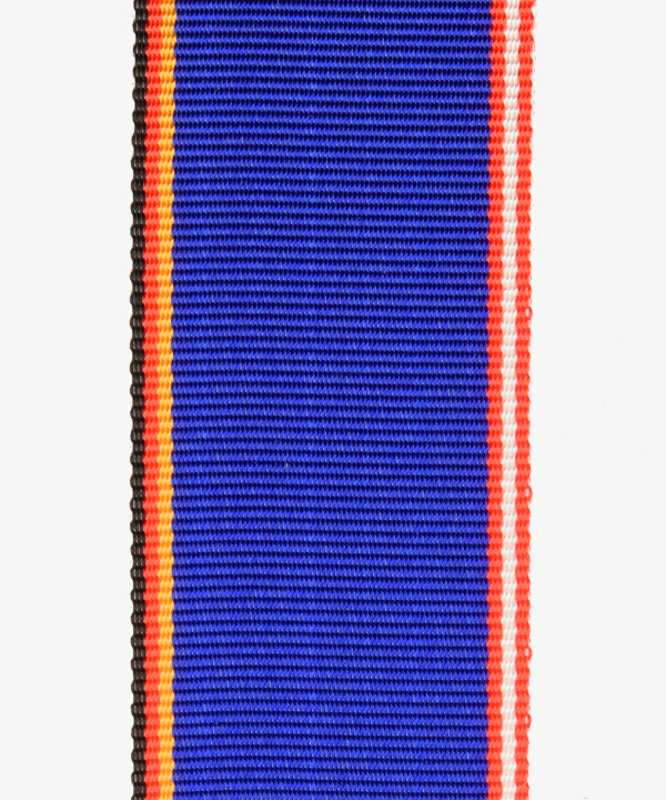 Austria, civil service commemorative medal DEM (258)